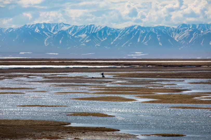 Research biologists pause among the wetlands of the Arctic National Wildlife Refuge coastal plain, with the Brooks Range in the background. (Photo by Lisa Hupp/USFWS)