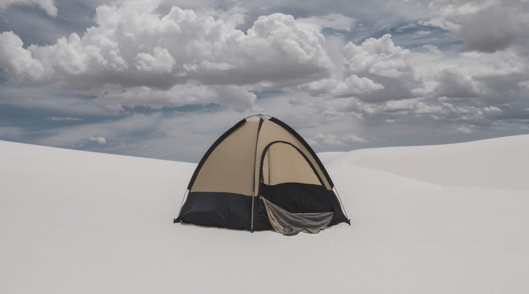 Brexit: How We Found Ourselves Outside the Tent, Getting Pissed On