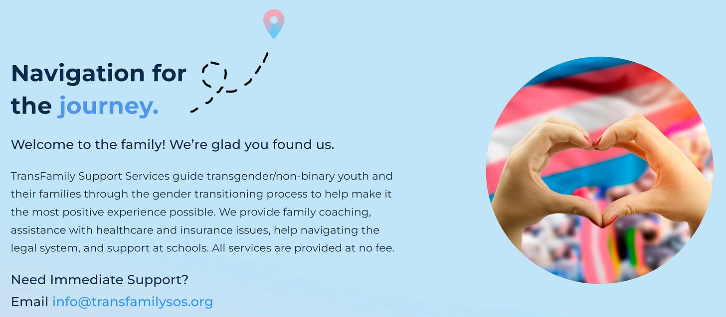 Image from the TransFamily Support Services website, with welcome text and a colorful photo of the trans flag, rainbow streamers, and hands making the shape of a heart