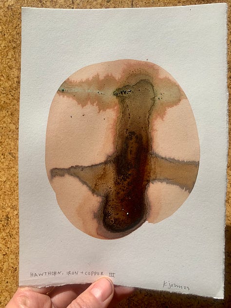Original inkwork on paper. Hawthorn with iron rust and copper pipe.