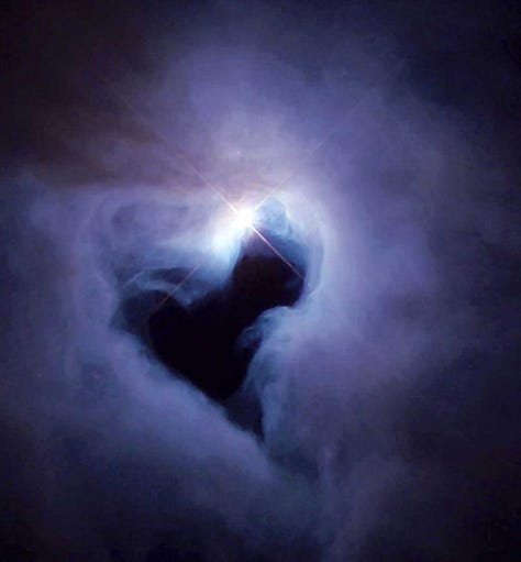 The Universe Is Beautiful (without You)