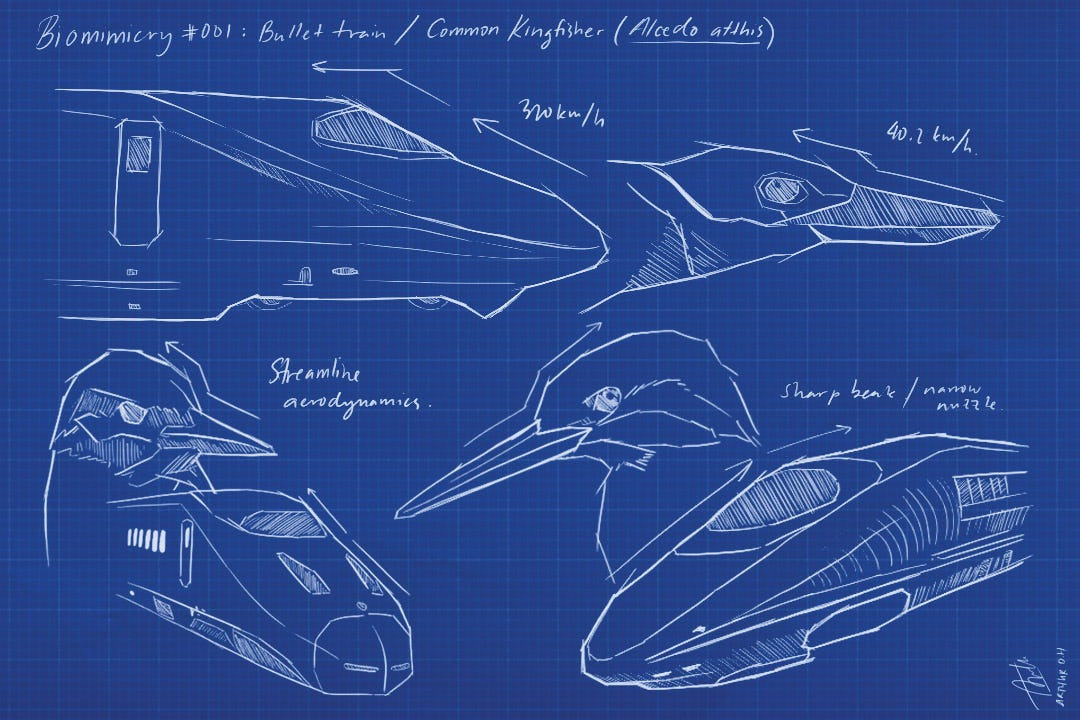 Biomimicry, An Approach Towards Future of Design and Sustainability | by  Rakshit Arya | Medium