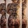 Sam Ford Tattoos