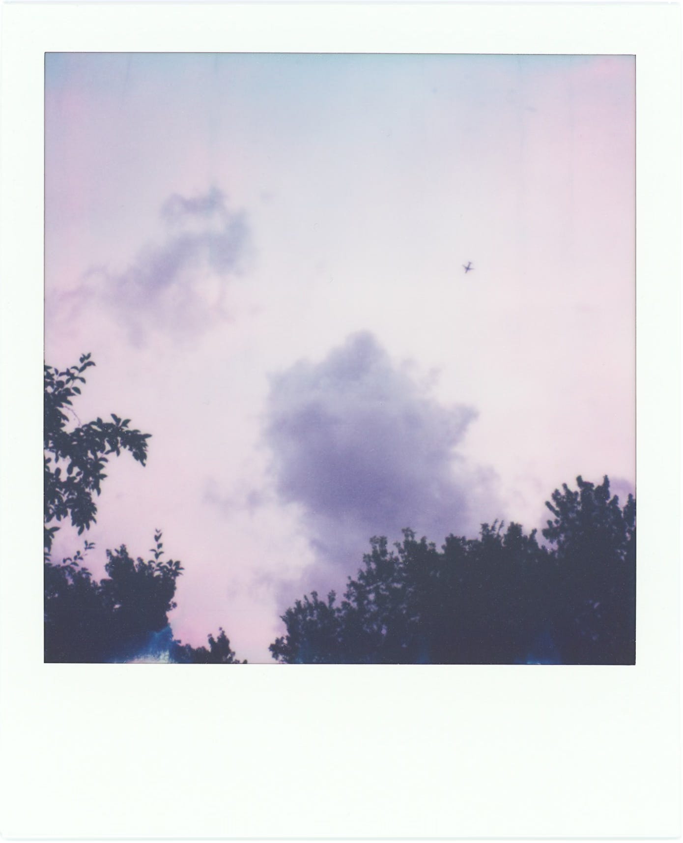 a polaroid of the sky, tinged pink and purple, with a tiny silhouette of an airplane in the upper right corner, and the silhouettes of leaves along the bottom edge.