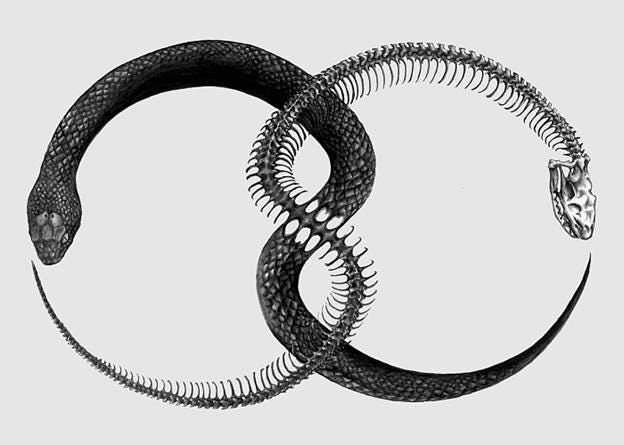 Eternal Return, recursion, Ouroboros, magic Circle, Swastika ...