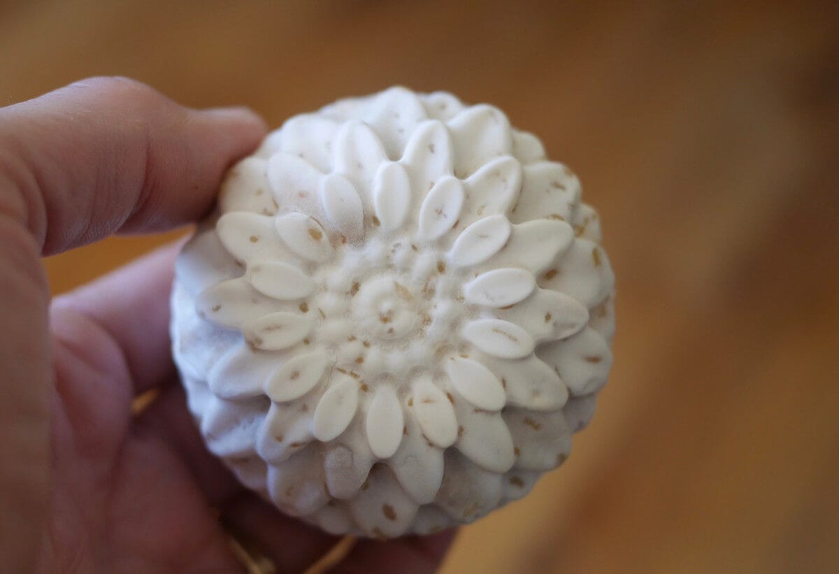 Fresh tempeh from flower mold