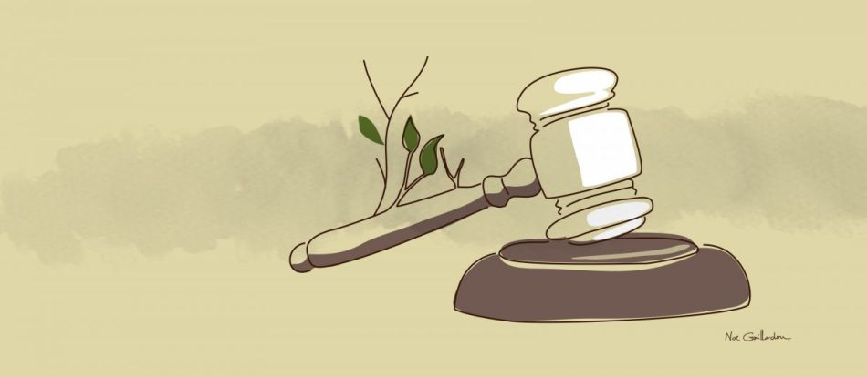 La Evaluación de Impacto Ambiental y el derecho internacional