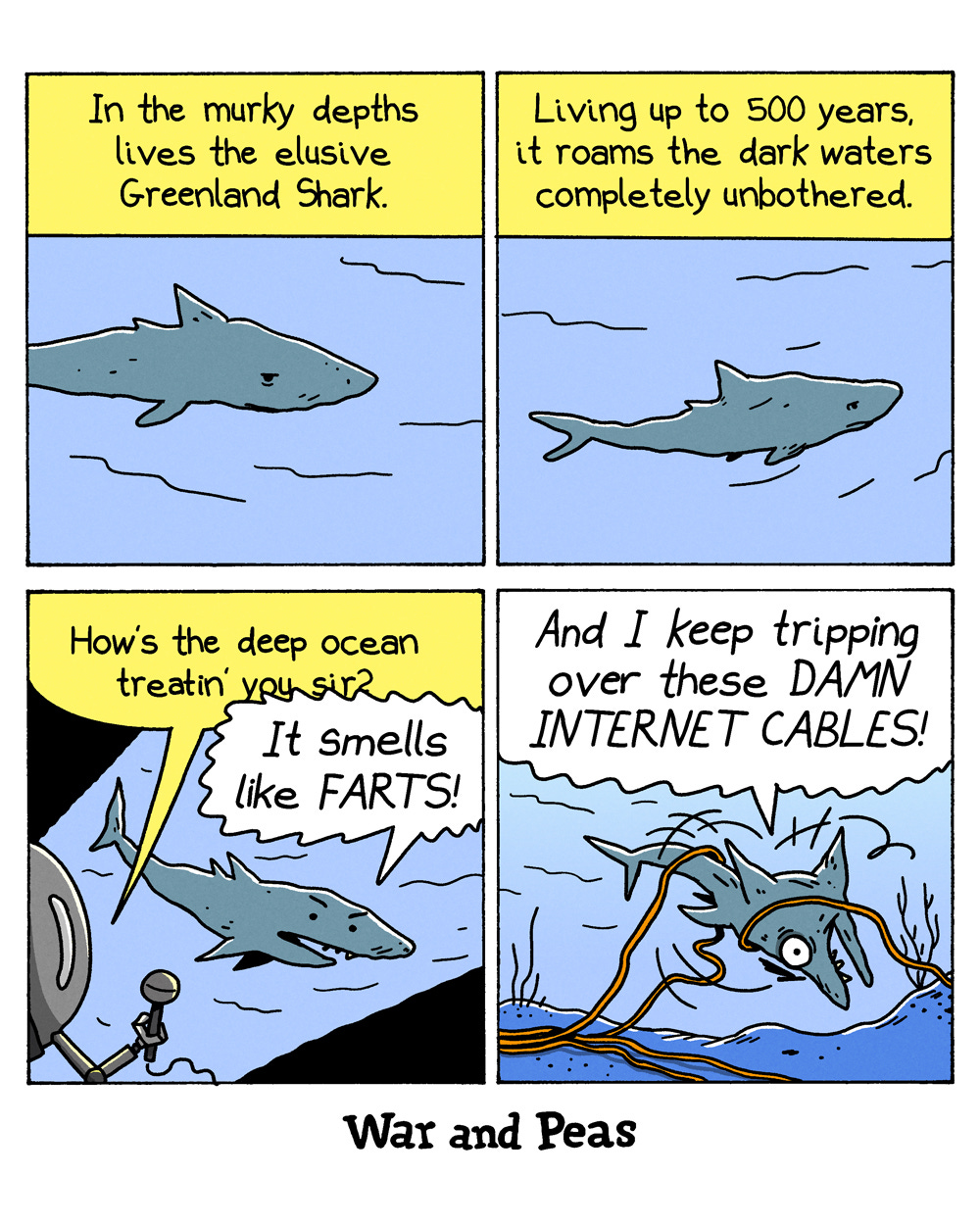 4-panel comic by War and Peas Panel 1: A grey Greenland shark swims in murky blue water. Yellow caption reads, "In the murky depths lives the elusive Greenland Shark." Panel 2: The same shark glides through dark water. Yellow caption reads, "Living up to 500 years, it roams the dark waters completely unbothered." Panel 3: A submarine appears with a small microphone extended toward the shark and asks, "How's the deep ocean treatin' you sir?" The shark replies, "It smells like FARTS!" Panel 4: The shark crashes face-first into the ocean floor, tangled in orange internet cables. It shouts, "And I keep tripping over these DAMN INTERNET CABLES!"