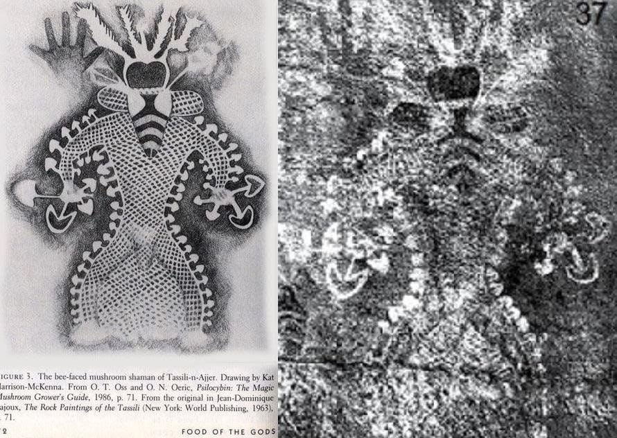 Algerian Cave Paintings Suggest Humans Did Magic Mushrooms 9,000 Years Ago  | Open Culture