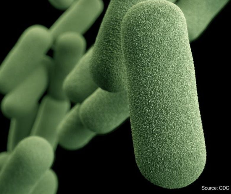 Panama Reports Haemophilus Influenzae Meningitis Case in Veraguas