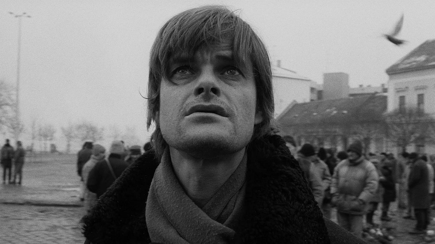 Werckmeister Harmonies: Dark Side of the Earth | Current | The Criterion  Collection