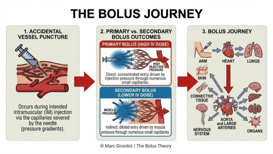 An Introduction to the Bolus Theory with Dr. Tenpenny