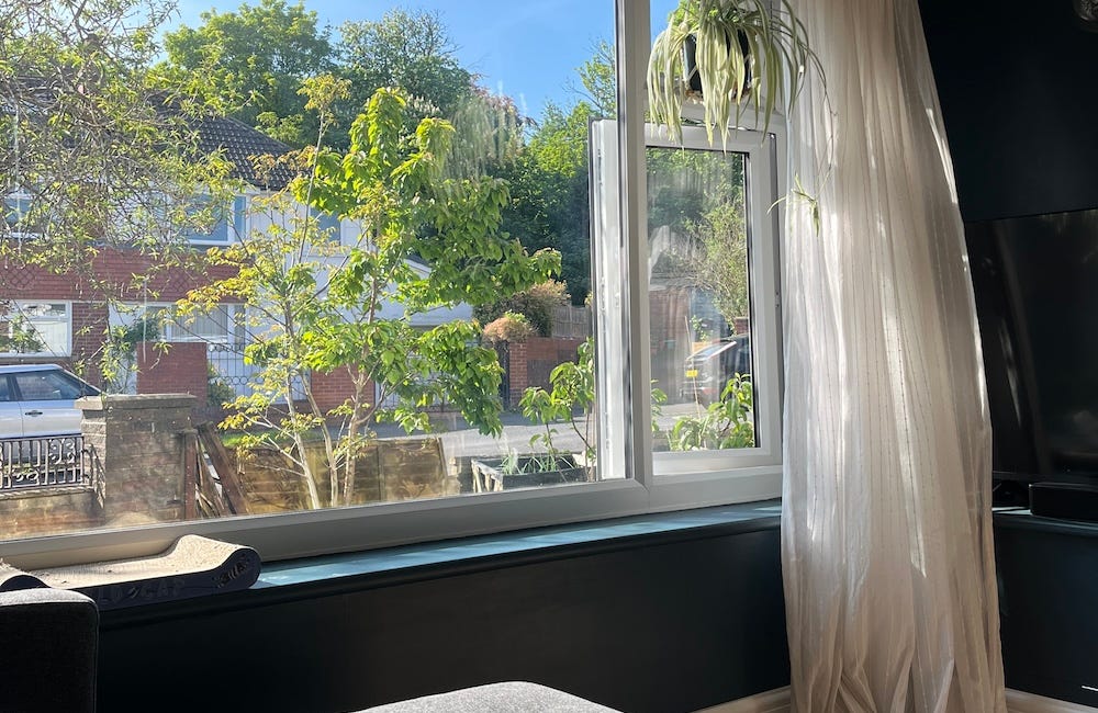 Little existential crisis 