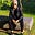 Lynda Bell's avatar