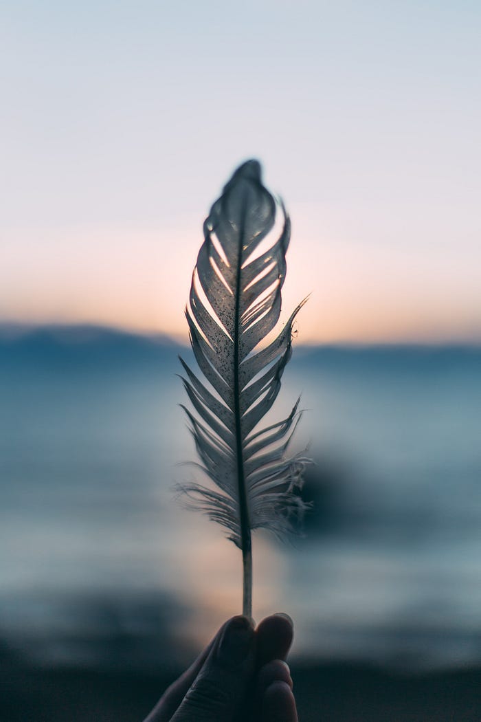 A white feather held up before the ocean at sunset. A white feather held up before the ocean at sunset.