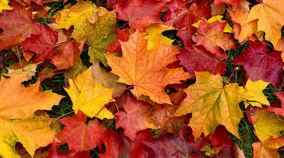 BENVENUTO OTTOBRE!