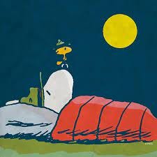 PEANUTS on X: "Sweet dreams. 💤 http://t.co/qejFELqtba" / X
