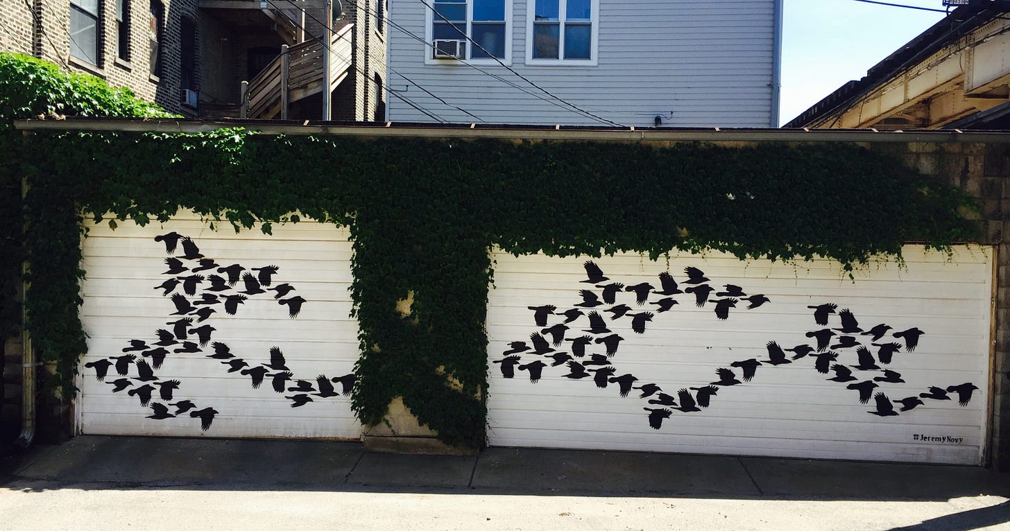 Graffiti of flying black birds on white walls, flanked by vivid green ivy. The scene is set against a brick building, creating an urban, artistic vibe. There are town homes in the background behind the artwork. Graffiti of flying black birds on white walls, flanked by vivid green ivy. The scene is set against a brick building, creating an urban, artistic vibe. There are town homes in the background behind the artwork.