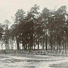 February 1917 