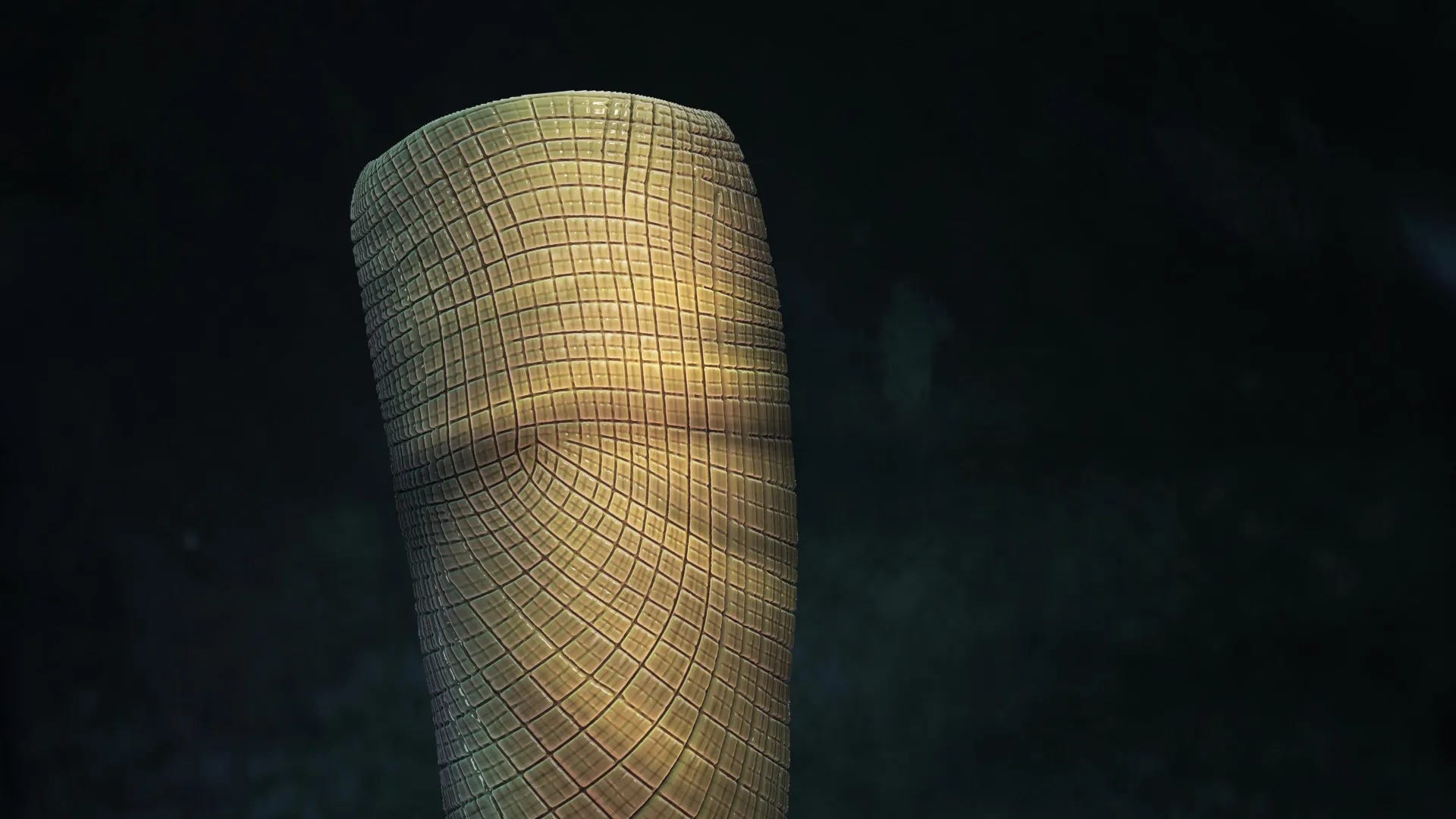 550-Million-Year-Old Soft-Bodied Sponge Fossil Fills Critical Gap in Animal Evolutionary Record