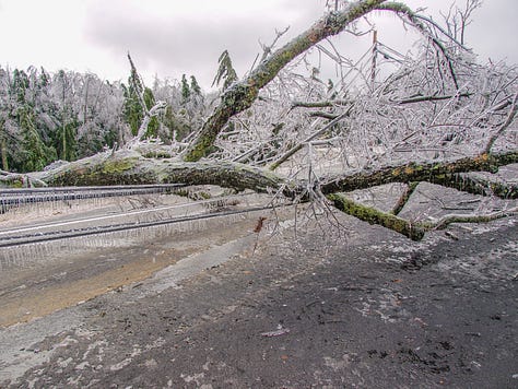 Ice damage in 2008