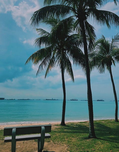 left to right: East Coast Park, Botanic Gardens, Bussorah Street