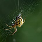 Adventures in the Otherworld