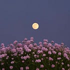 A Witch's Guide to Celebrating the Full Pink Moon