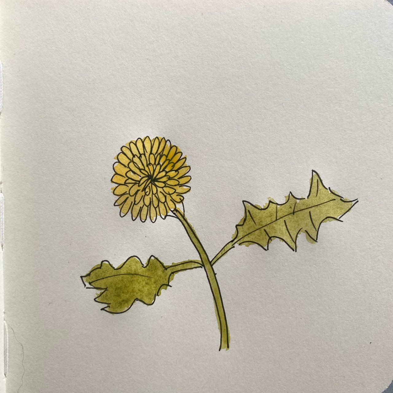 There But For The Grace Of Weeds