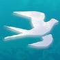 BirdingApp's avatar