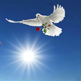 The Law of Peace