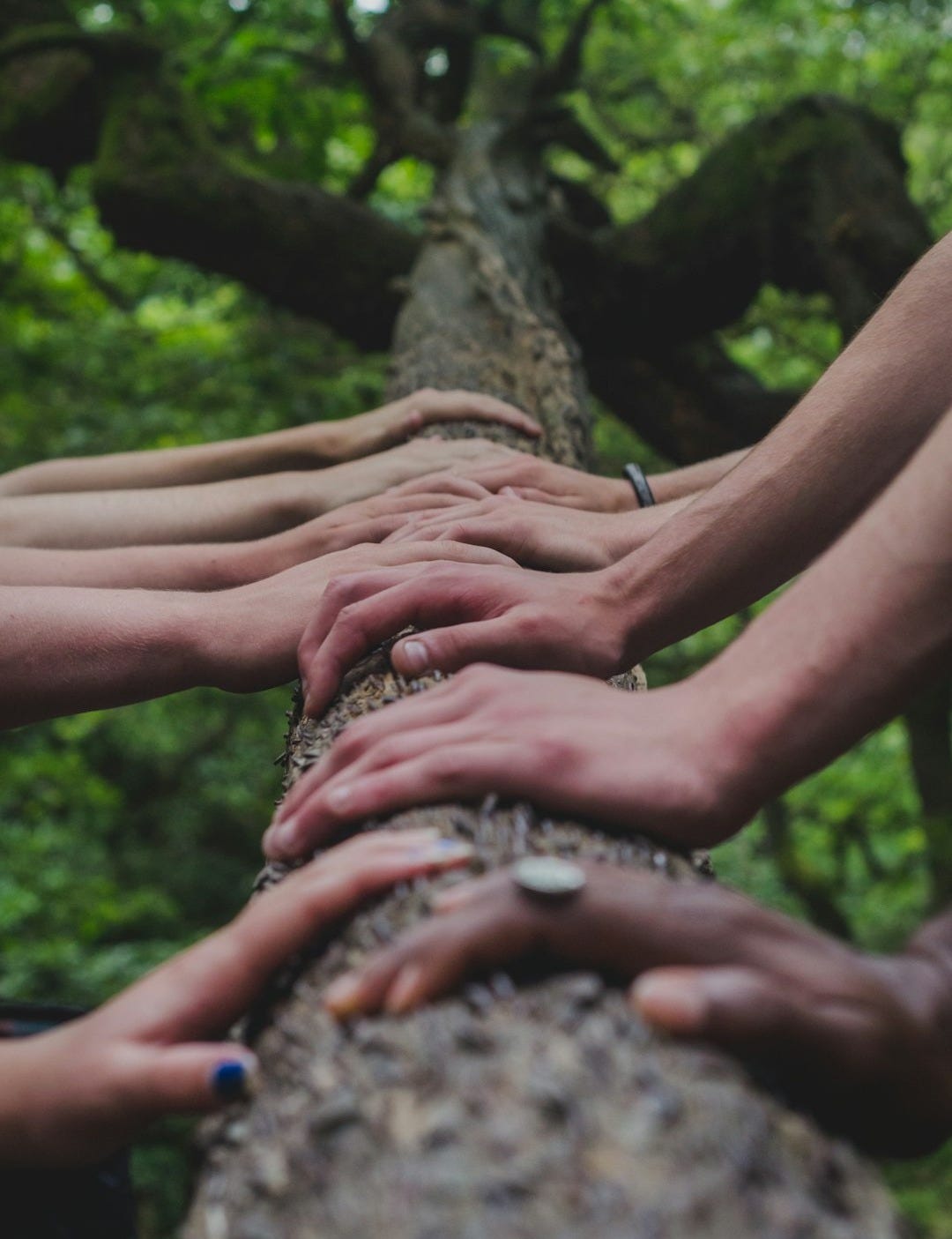 a group of people holding hands on top of a tree a group of people holding hands on top of a tree