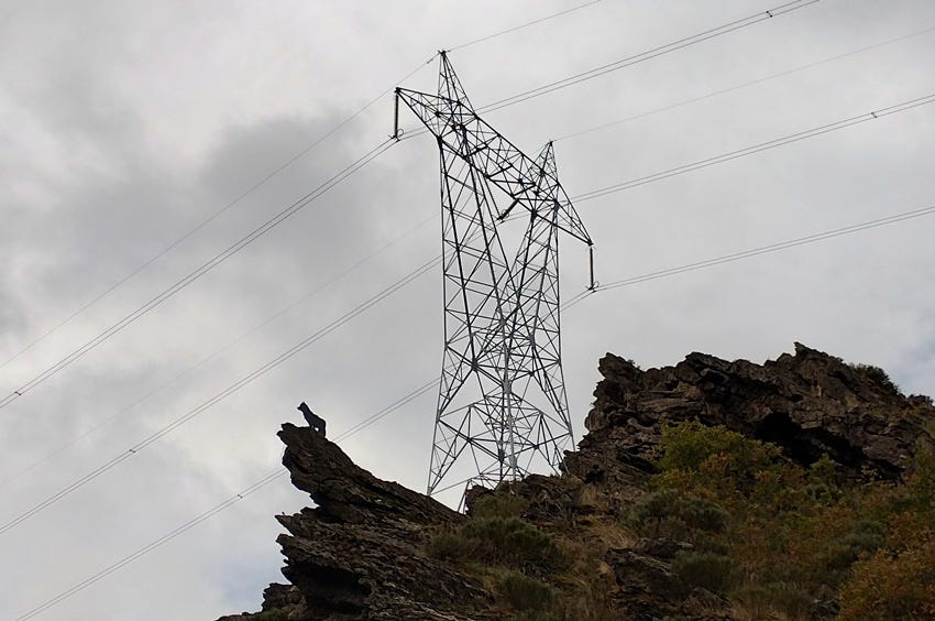 Escultura de un lobo sobre un peñasco, cerca de Buiza