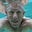 Theodorus "Ted" Polman's avatar