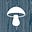 Catskill Fungi's avatar