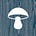 Catskill Fungi's avatar