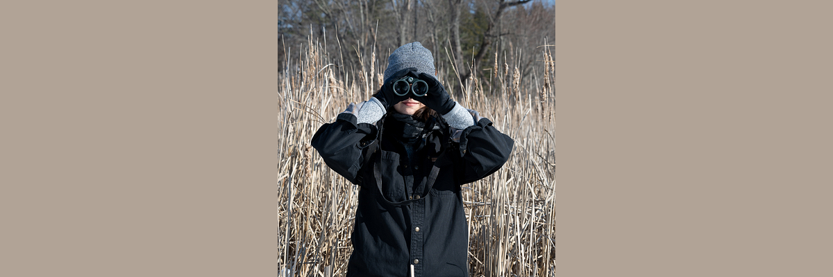 Lorna Dielentheis | Substack