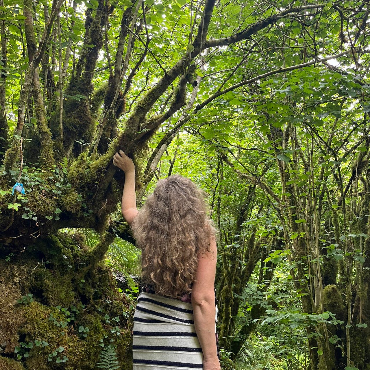 Dancing with the Wild