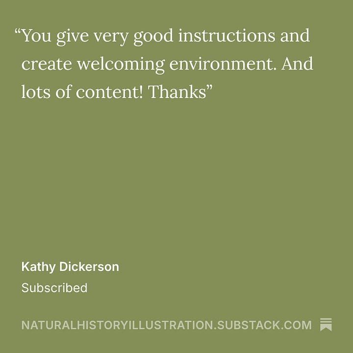 testimonials from Cricklewood Nature Journal subscribers