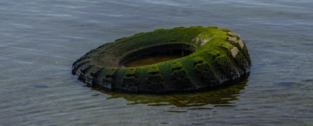 a tire in the middle of the water