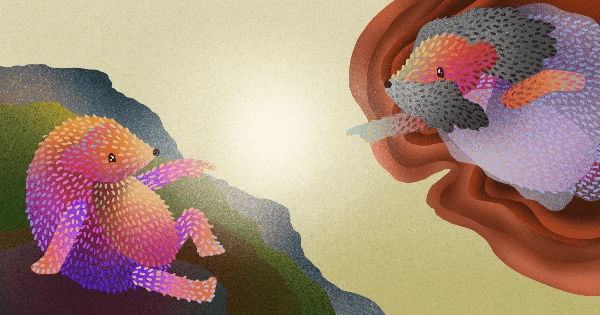 A collection of PostHog hedgehog mascot variations from their blog post about designing the mascot.