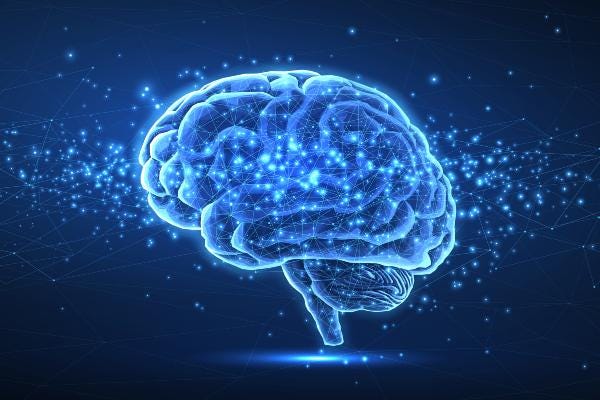 Neuro-Immune Link Could Shape Brain Development, Study Finds | Duke  University School of Medicine
