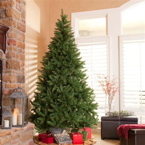 Unadorned Christmas tree inside with presents