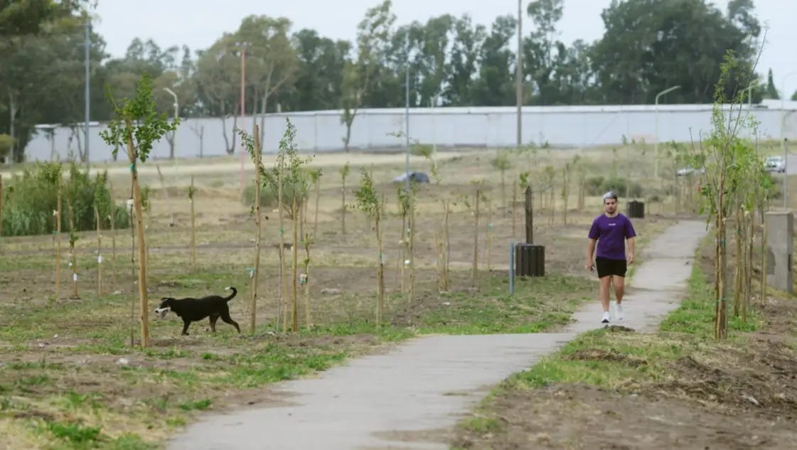 El renacimiento de El Pinar, uno de los pulmones verdes de la ciudad