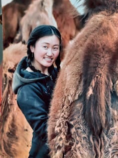 Woman stood between camels