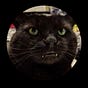 Greg Kammer's avatar