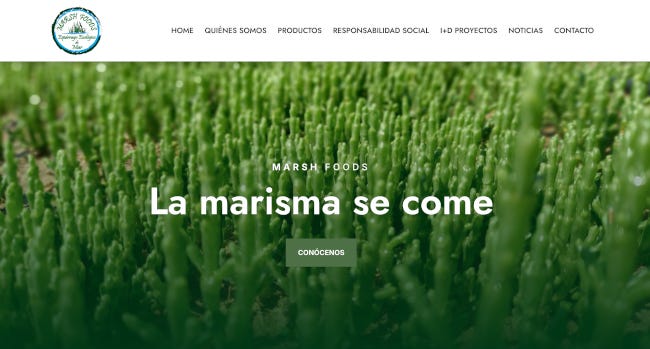 Page d'accueil du site Marsh Foods avec le slogan La Marisma se come