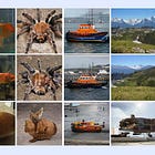 Relevante — episodio 170 🧈🧠⚛️🔫