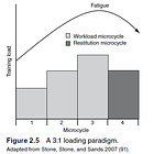 Progressive Overload & Periodization