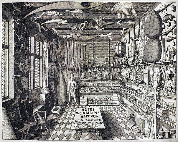 Please don't call us a Cabinet of Curiosity | UCL UCL Culture Blog